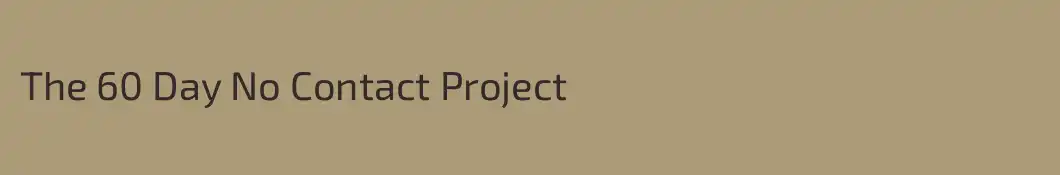 The 60 Day No Contact Project